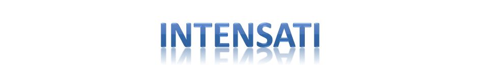 L&rsquo;IntenSati : l&rsquo;alliance du corps et de&nbsp;l&rsquo;esprit