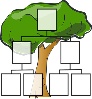 family-tree-297812__340.png